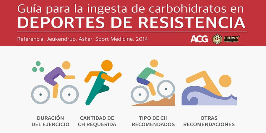 GUÍA PARA LA INGESTA DE CARBOHIDRATOS EN DEPORTES DE RESISTENCIA