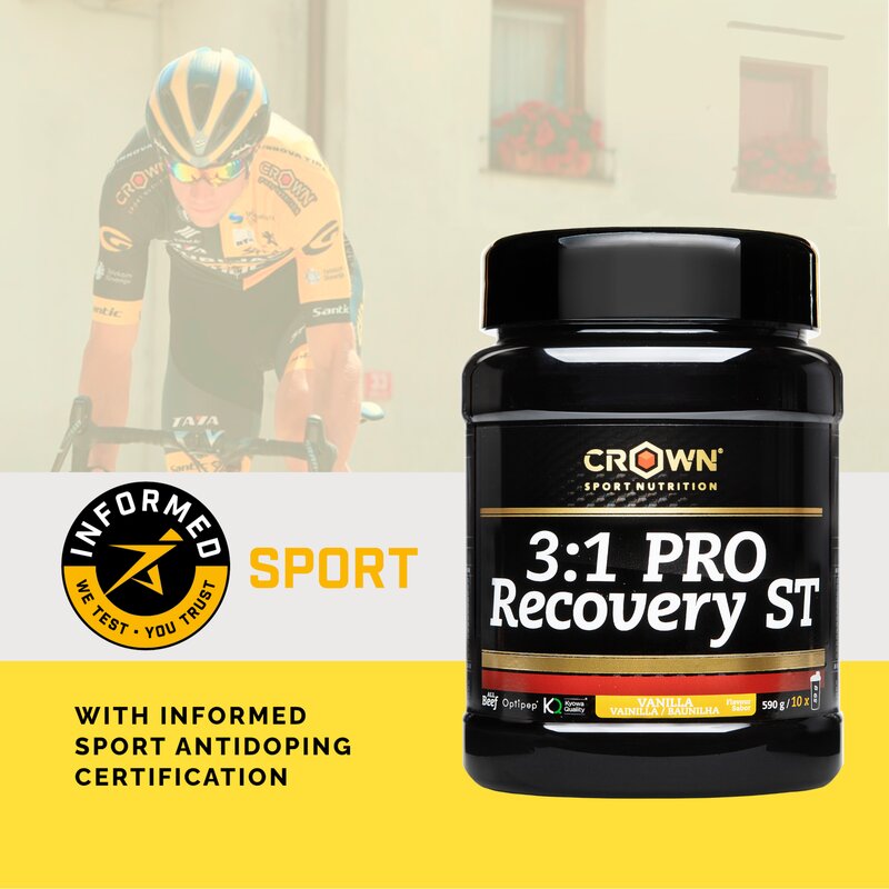 3:1 PRO Recovery ST (Sabor Vainilla) - imagen de producto 3