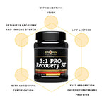 3:1 PRO Recovery ST (Sabor Vainilla) - imagen de producto 6